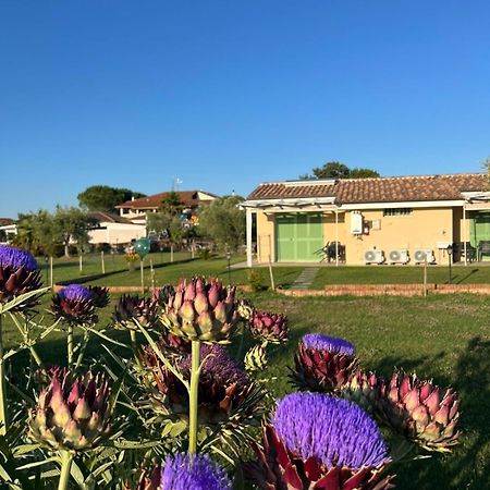 普林斯皮纳·特拉Il Giardino Di Nunzia别墅 外观 照片