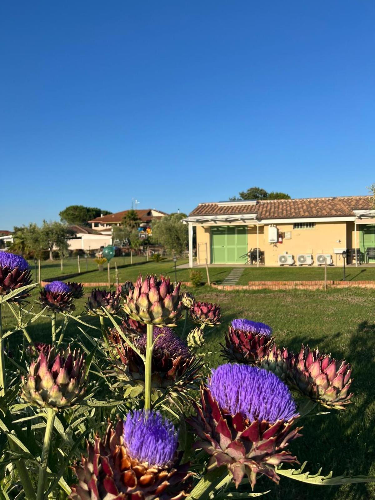 普林斯皮纳·特拉Il Giardino Di Nunzia别墅 外观 照片